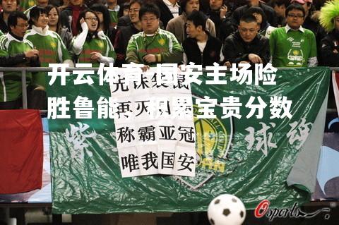 国安主场险胜鲁能，积累宝贵分数