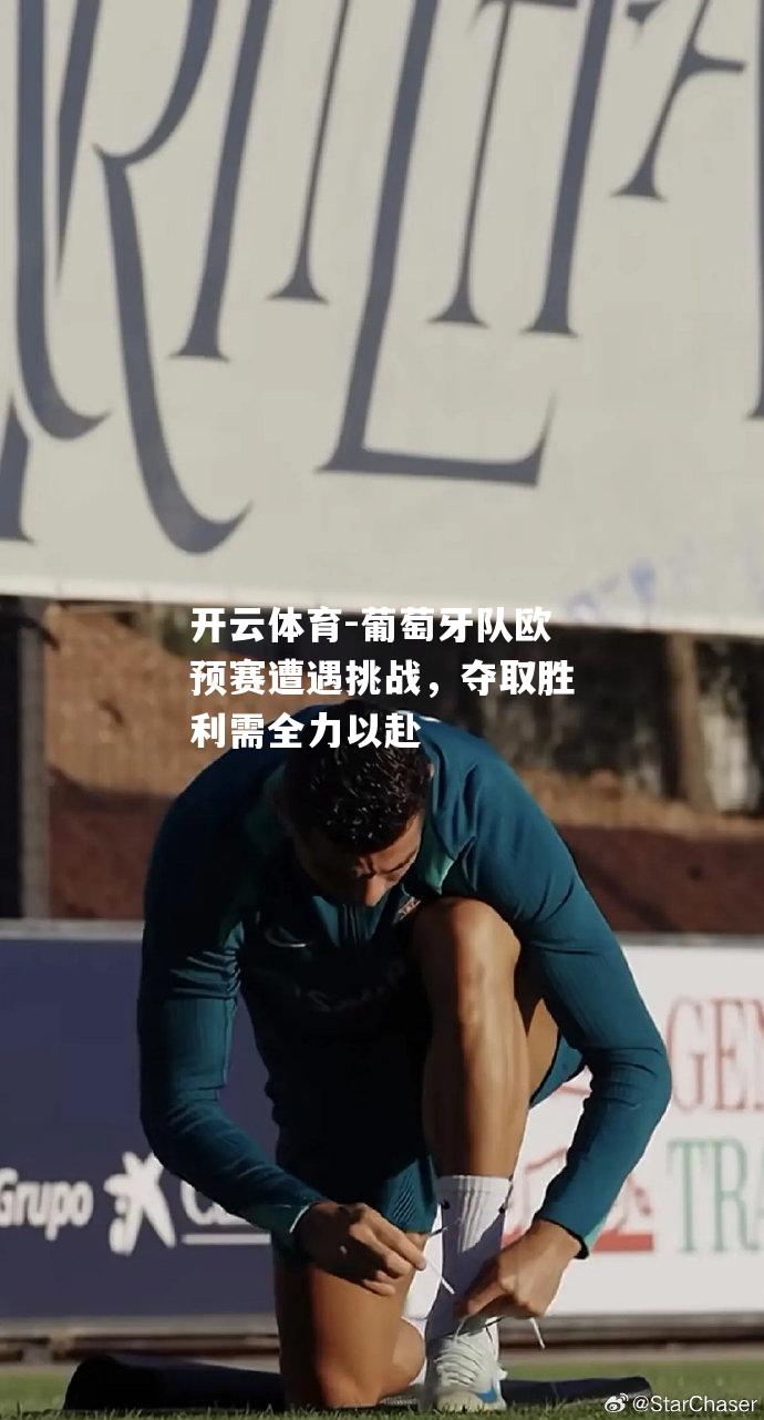 葡萄牙队欧预赛遭遇挑战，夺取胜利需全力以赴
