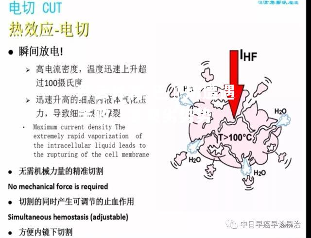 开云体育-巴爾切遭遇苦败，表现劣势势